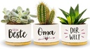 Darlena Cea mai bună bunica din lume | Cadou bunicii, cadou de ziua de nastere | Cadouri pentru grădina de plante medicinale pentru bunica de ziua ei, de ziua mamei sau de Crăciun | Ghivece de flori pentru plantare