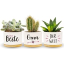 Darlena Cea mai bună bunica din lume | Cadou bunicii, cadou de ziua de nastere | Cadouri pentru grădina de plante medicinale pentru bunica de ziua ei, de ziua mamei sau de Crăciun | Ghivece de flori pentru plantare