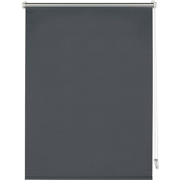 Jaluză GARDINIA fără găurire, pentru prindere, opac, ecran de intimitate, protecție împotriva orbirii, inclusiv toate piesele de asamblare, boa cu pene Digiprint, alb/decor, 70 x 150 cm