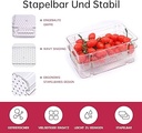Mepal - Recipient frigider pentru mic dejun Duo Omnia - Recipiente pentru depozitarea alimentelor cu 2 straturi - Cutie de depozitare mezeluri si branza - Depozitare si organizare in bucatarie - 500 ml & 1200 ml - Negru