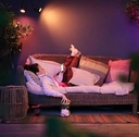Extensie Philips Hue White & Color Ambiance Lily XL pentru reflectoare de grădină (1.060 lm), lumină de exterior reglabilă cu 16 milioane de culori, control inteligent al luminii prin voce sau aplicație, negru