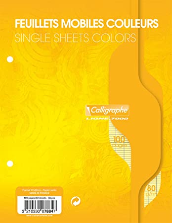 Clairefontaine 4411C Pachet de 5 x 200 de copii Perforate dublu 17 x 22 200 pagini