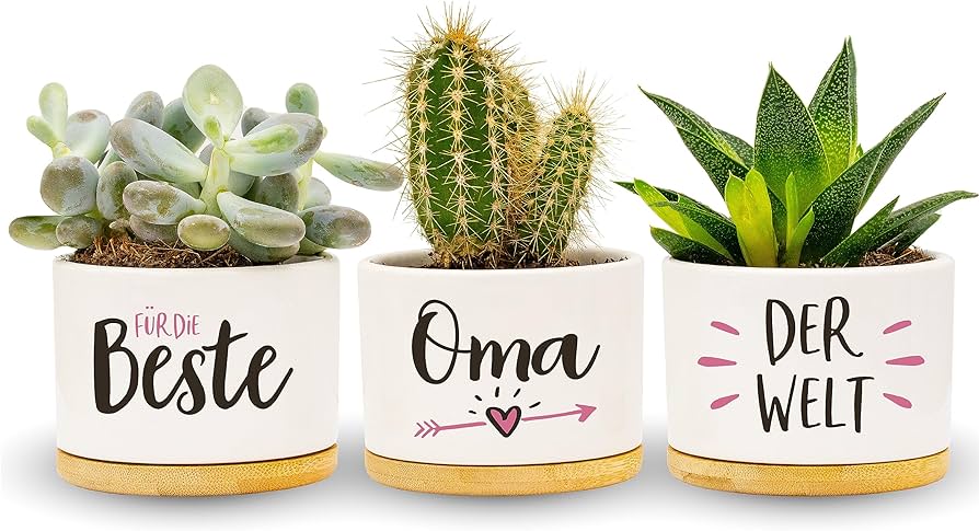Darlena Cea mai bună bunica din lume | Cadou bunicii, cadou de ziua de nastere | Cadouri pentru grădina de plante medicinale pentru bunica de ziua ei, de ziua mamei sau de Crăciun | Ghivece de flori pentru plantare