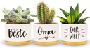 Darlena Cea mai bună bunica din lume | Cadou bunicii, cadou de ziua de nastere | Cadouri pentru grădina de plante medicinale pentru bunica de ziua ei, de ziua mamei sau de Crăciun | Ghivece de flori pentru plantare